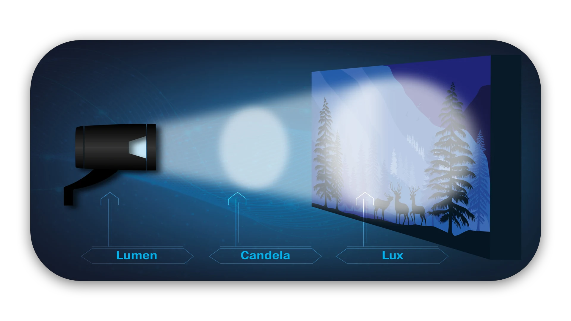 LED display screen in educational setting